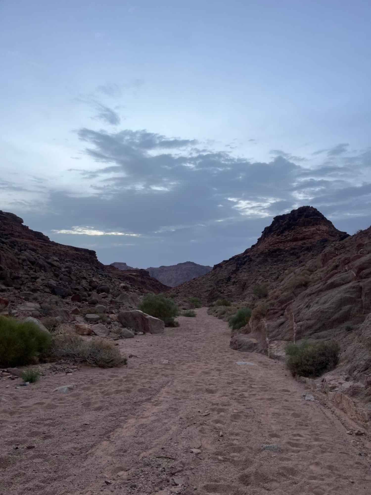 Desert Stars Rum Camp 瓦迪拉姆 外观 照片